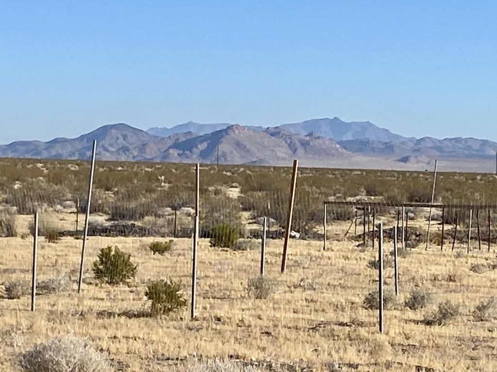 104 Joshua Tree Road Property Photo 3