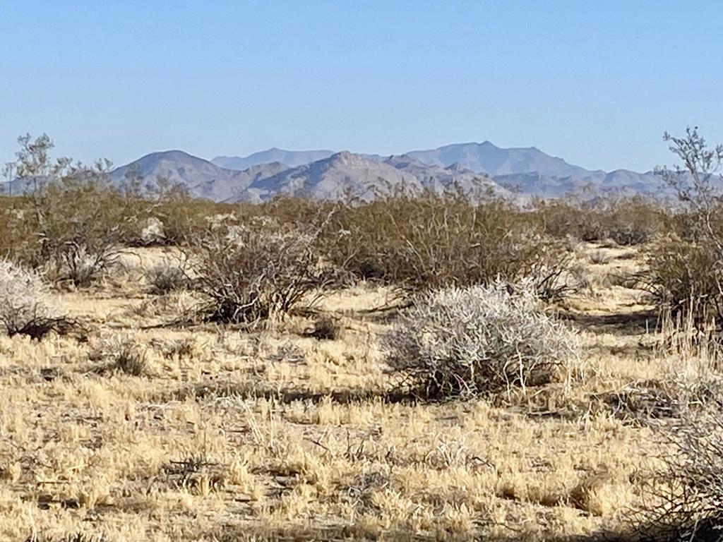104 Joshua Tree Road Property Photo 5