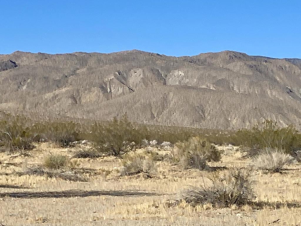 104 Joshua Tree Road Property Photo 8