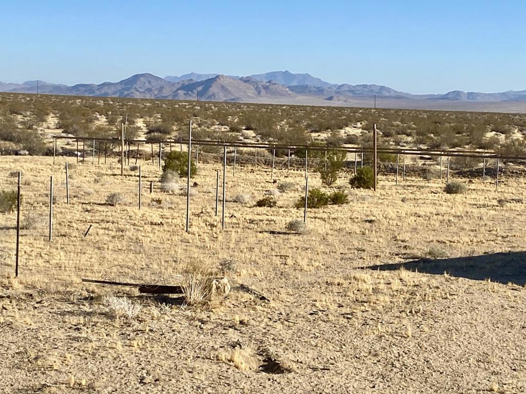 104 Joshua Tree Road Property Photo 12