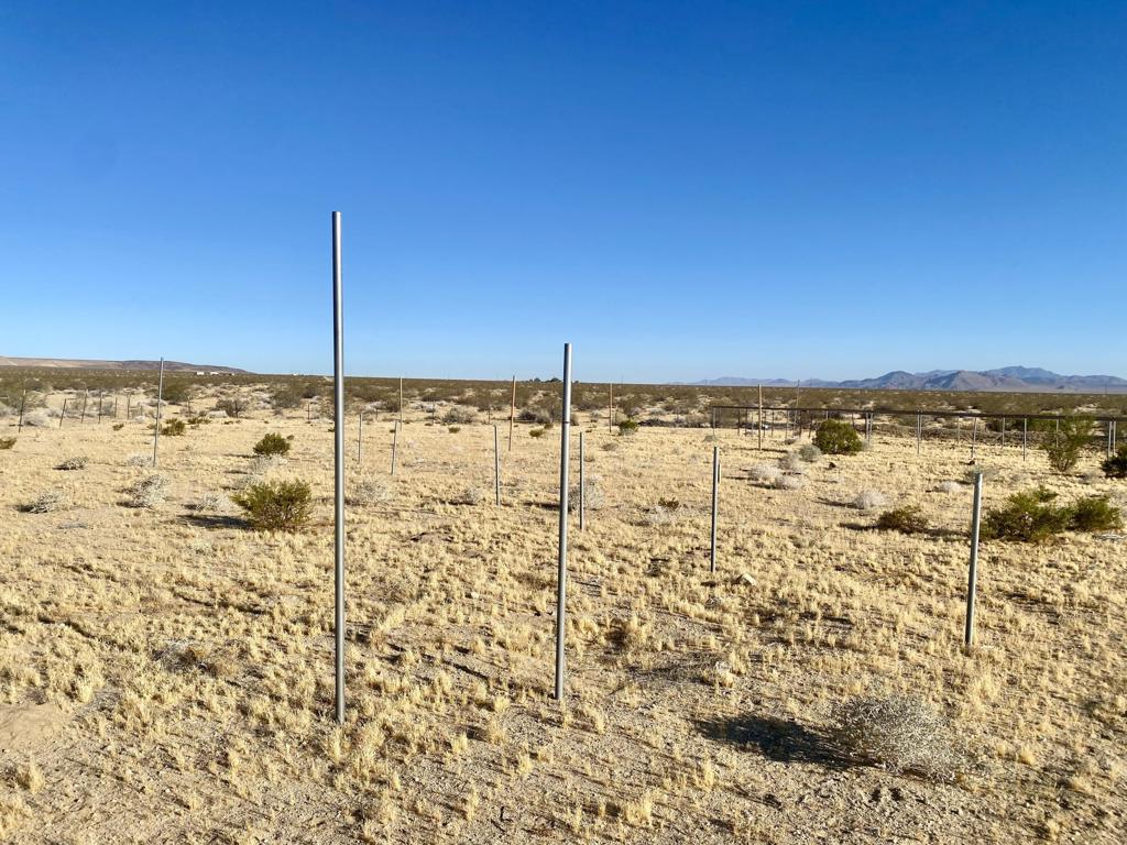 104 Joshua Tree Road Property Photo 13
