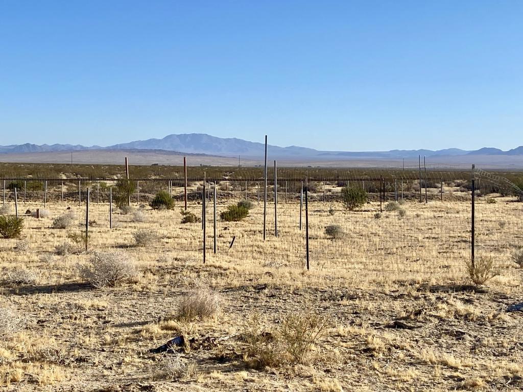 104 Joshua Tree Road Property Photo 14