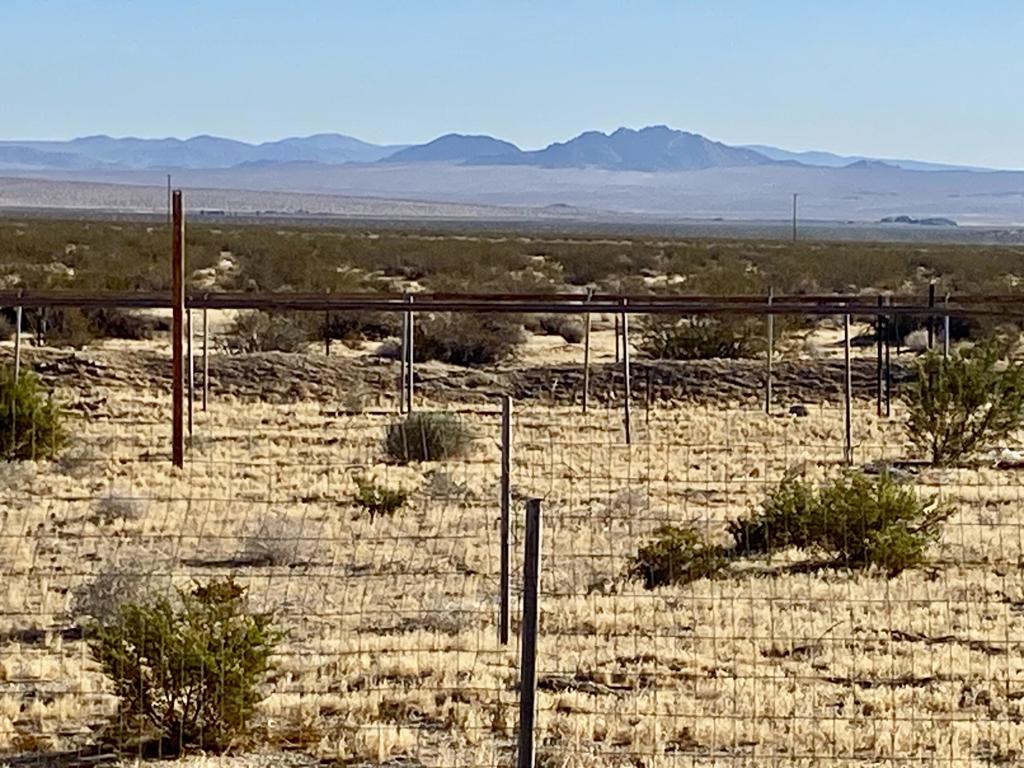 104 Joshua Tree Road Property Photo 16