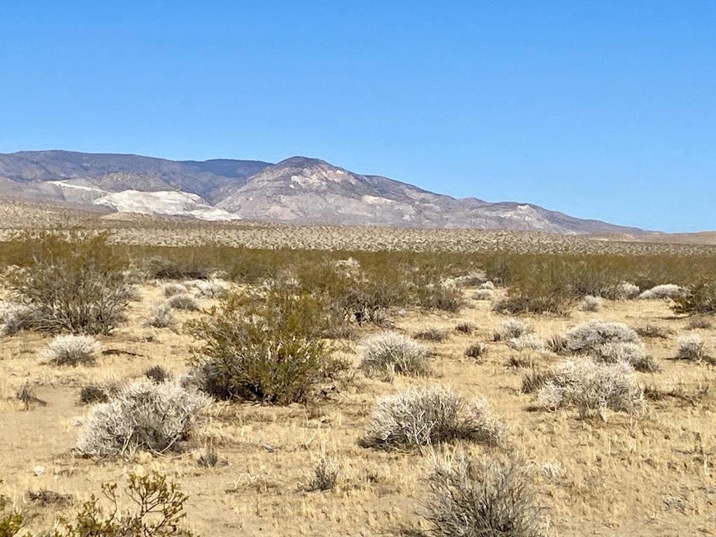 104 Joshua Tree Road Property Photo 19
