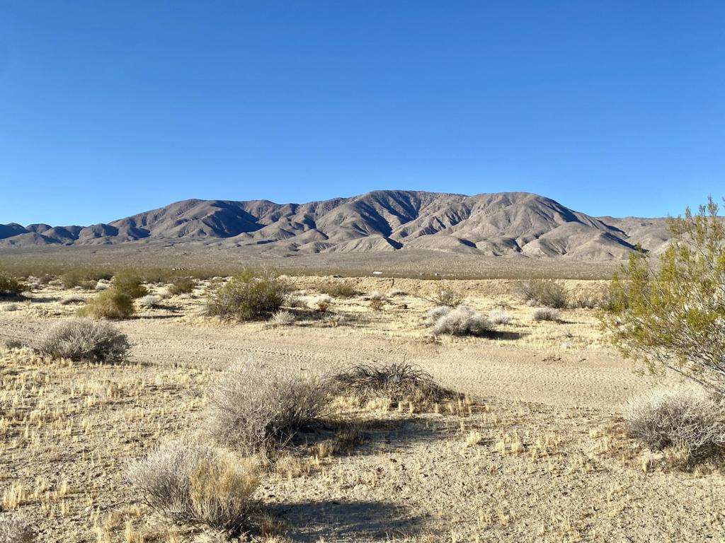 104 Joshua Tree Road Property Photo 20