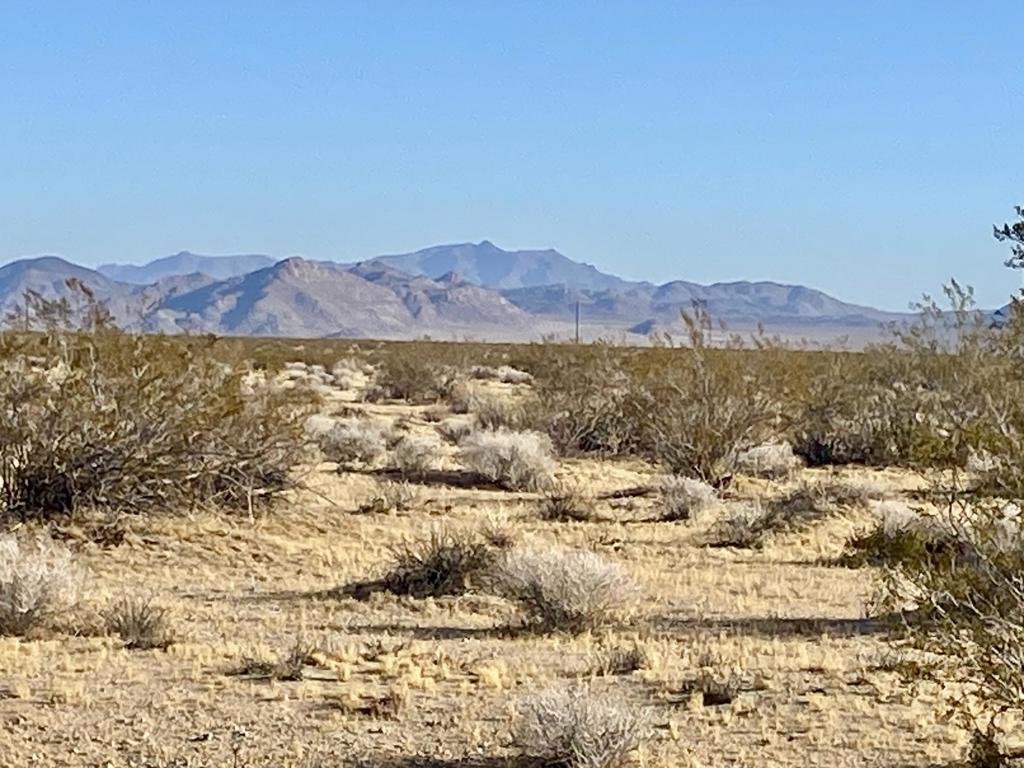 104 Joshua Tree Road Property Photo 23