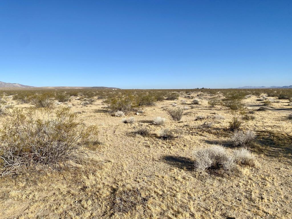 104 Joshua Tree Road Property Photo 27
