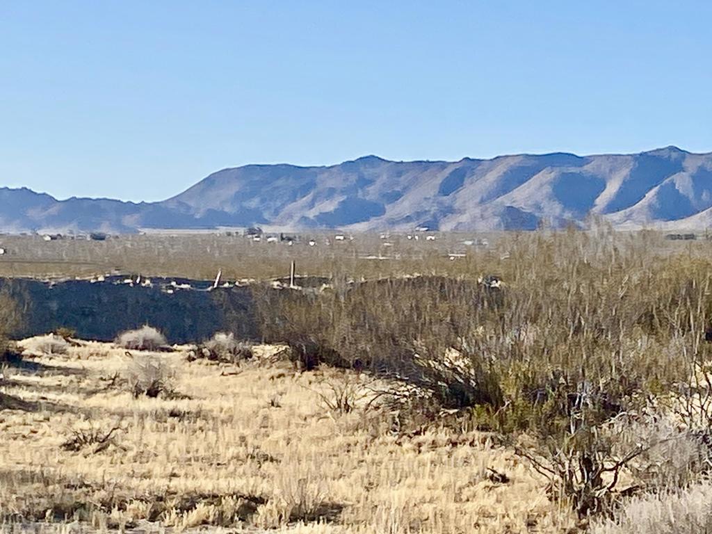 104 Joshua Tree Road Property Photo 33