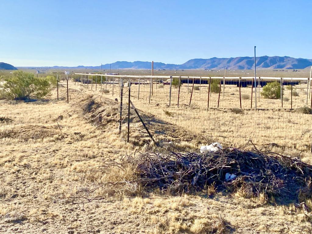 104 Joshua Tree Road Property Photo 36