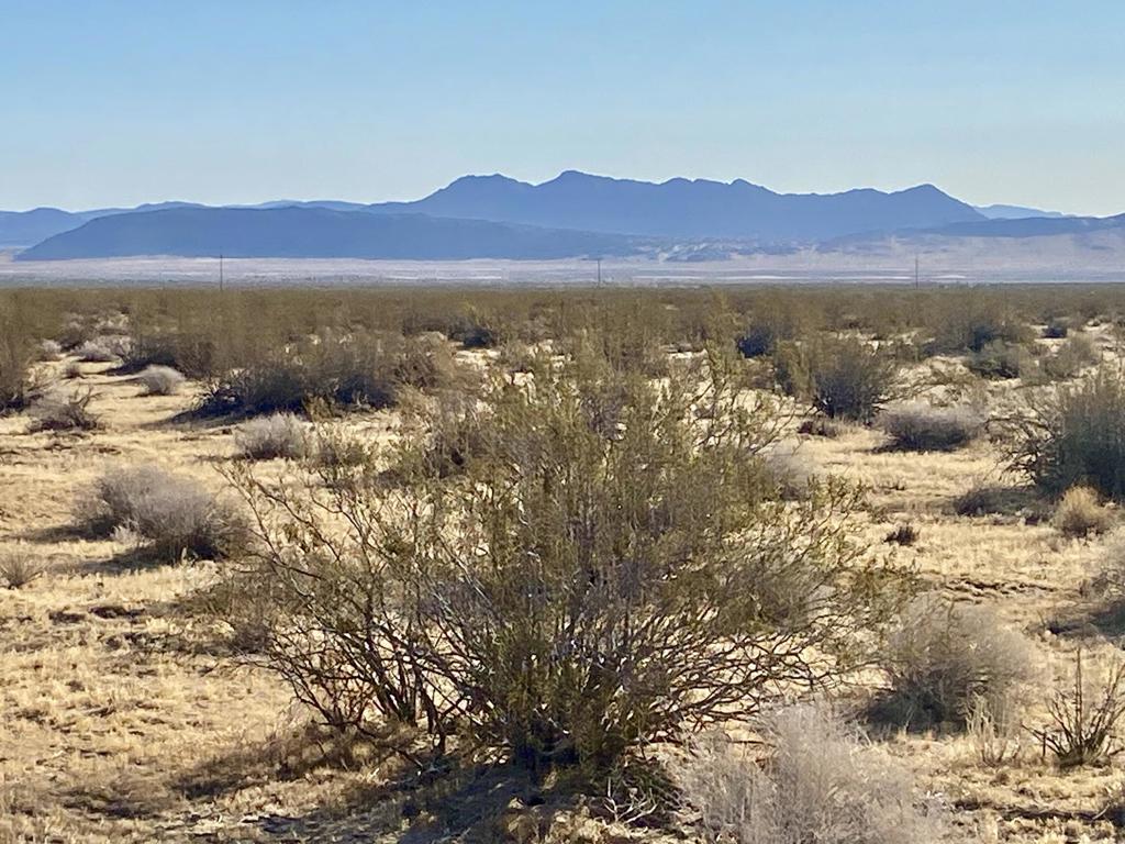 104 Joshua Tree Road Property Photo 38