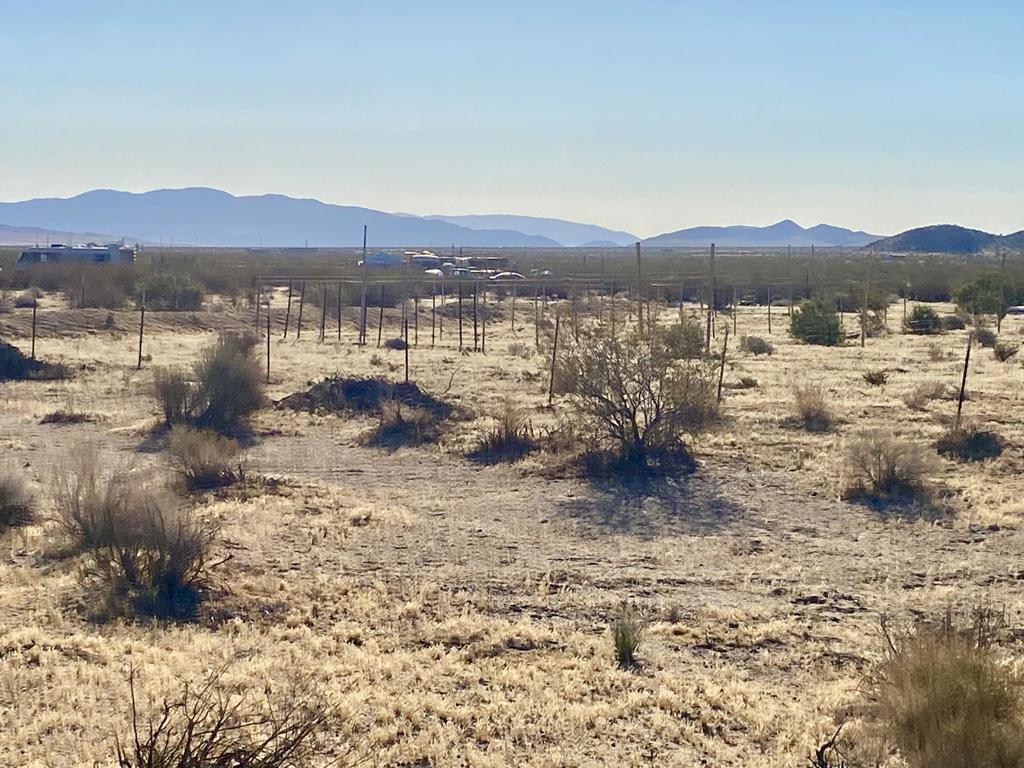 104 Joshua Tree Road Property Photo 39