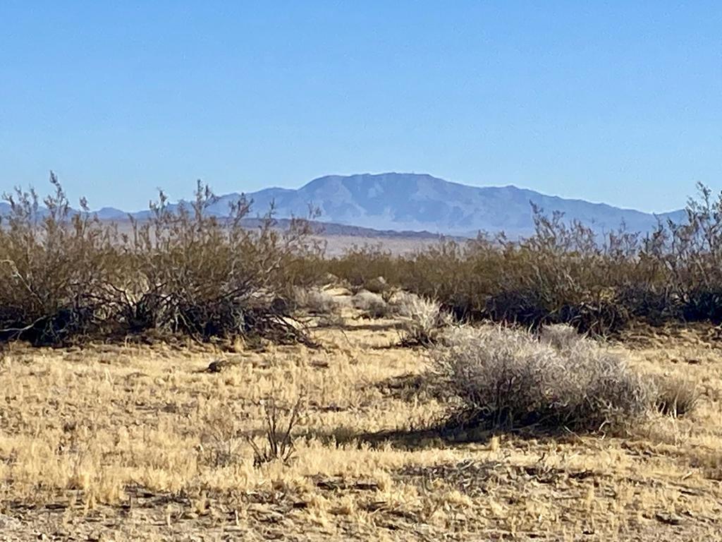 104 Joshua Tree Road Property Photo 46