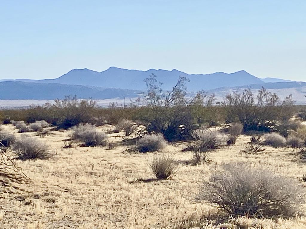 104 Joshua Tree Road Property Photo 47