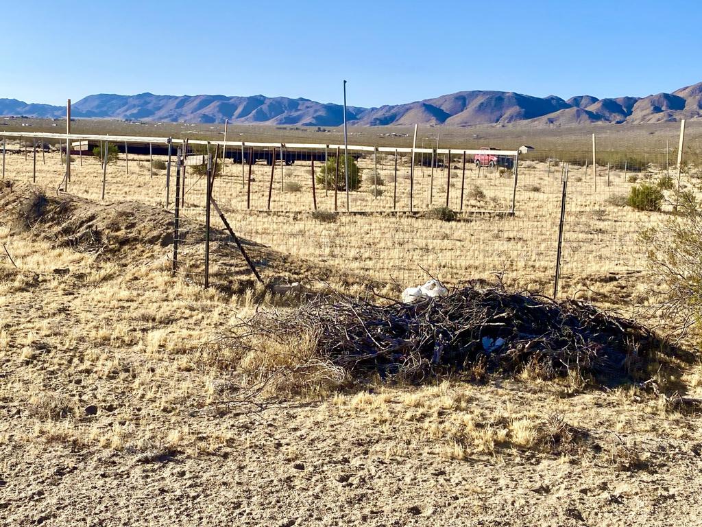 104 Joshua Tree Road Property Photo 48