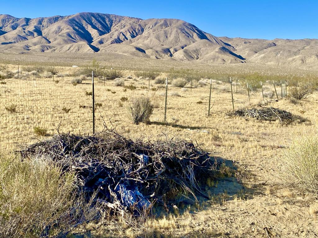 104 Joshua Tree Road Property Photo 50
