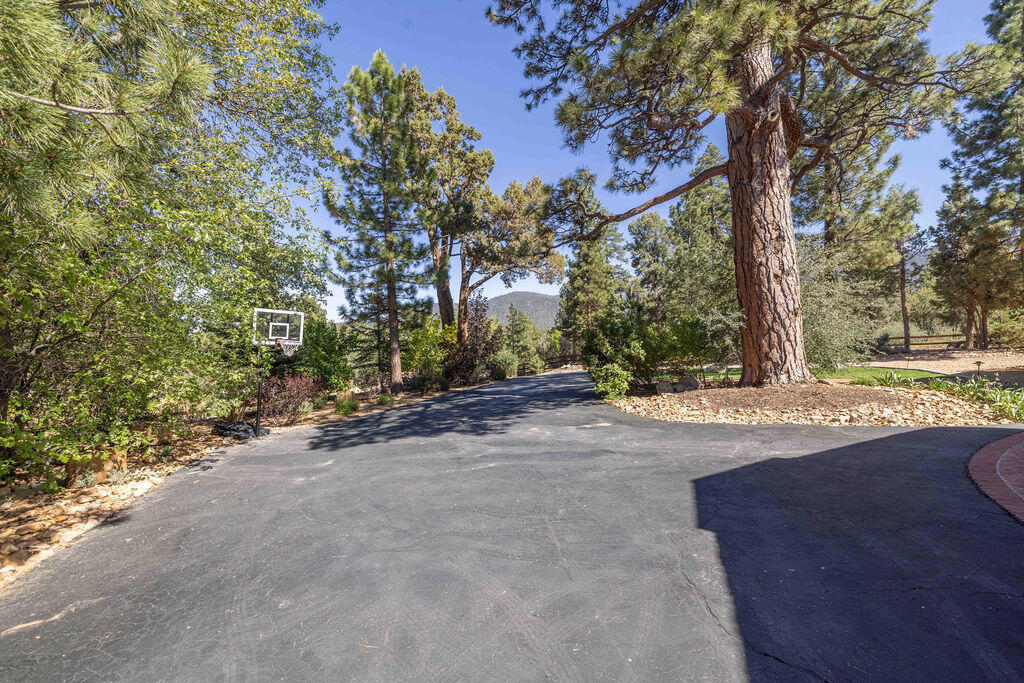 661 Cedar Glen Drive Property Photo 6