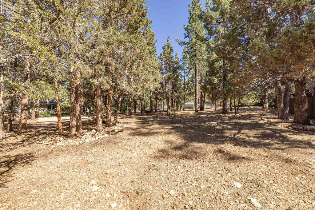 661 Cedar Glen Drive Property Photo 49