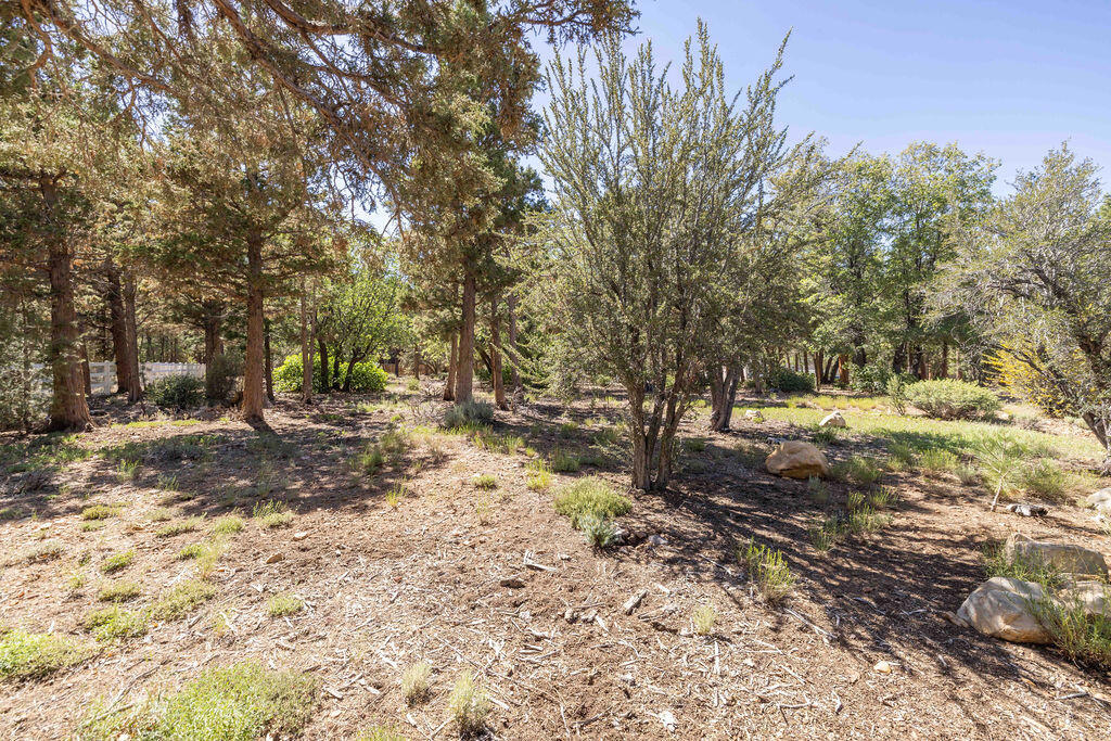 655 Cedar Glen Drive Property Photo 2