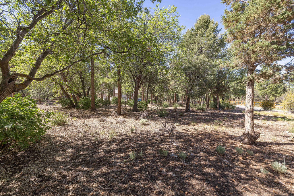 655 Cedar Glen Drive Property Photo 3