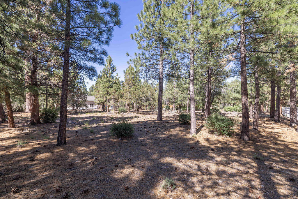 655 Cedar Glen Drive Property Photo 4