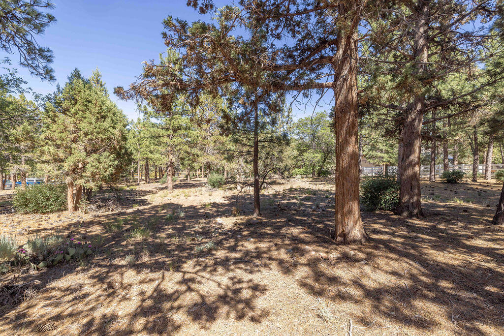 655 Cedar Glen Drive Property Photo 5