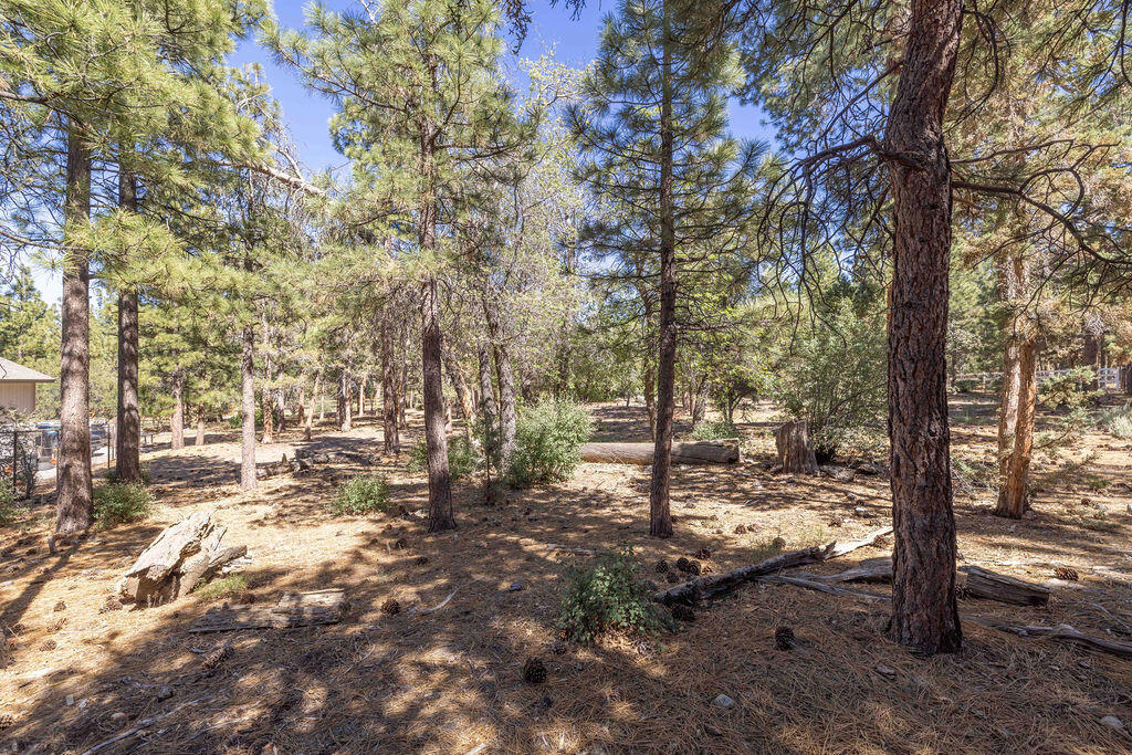 655 Cedar Glen Drive Property Photo 6