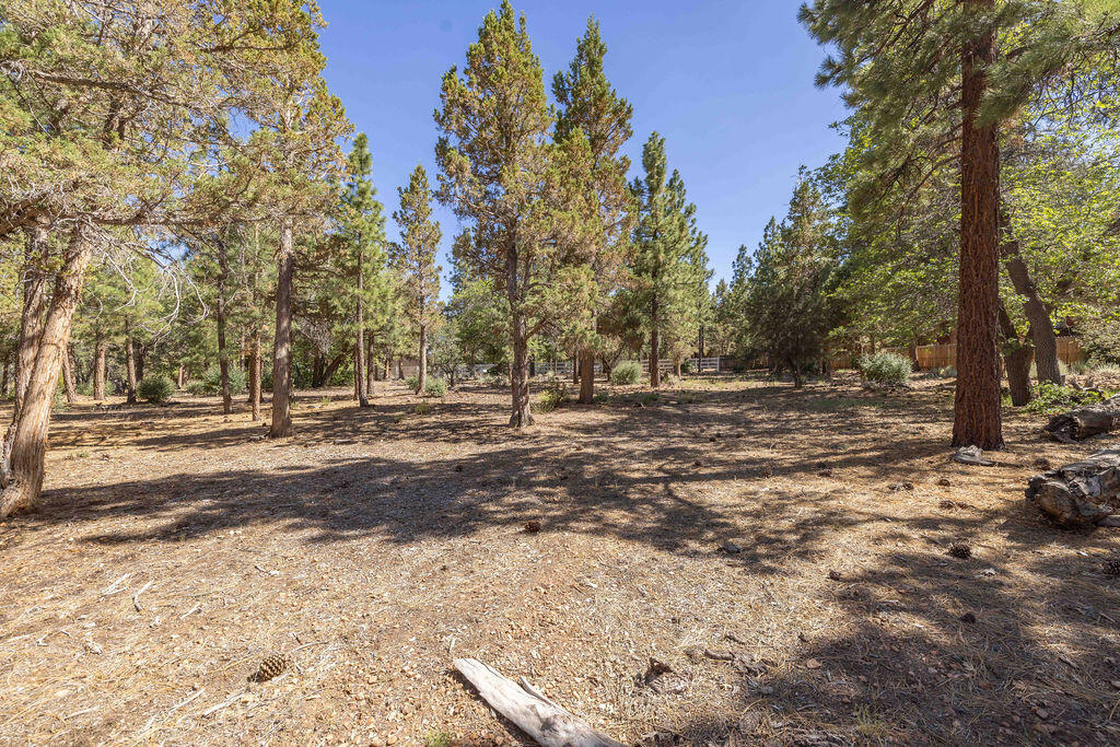 655 Cedar Glen Drive Property Photo 7