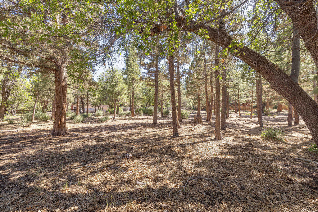655 Cedar Glen Drive Property Photo 8