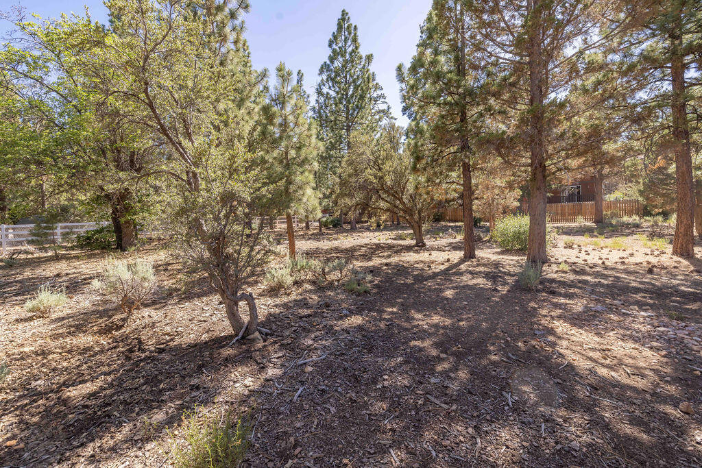655 Cedar Glen Drive Property Photo 9