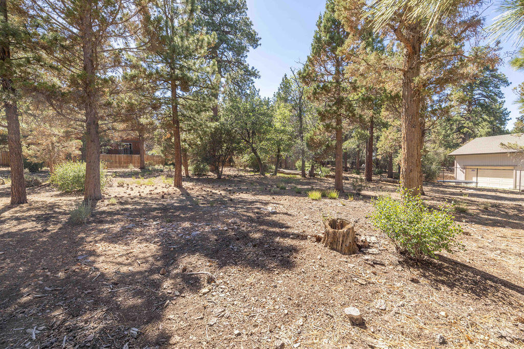 655 Cedar Glen Drive Property Photo 10