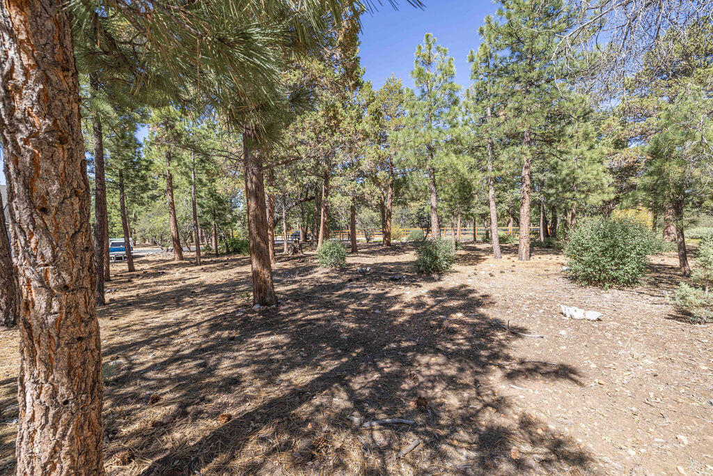 655 Cedar Glen Drive Property Photo 11