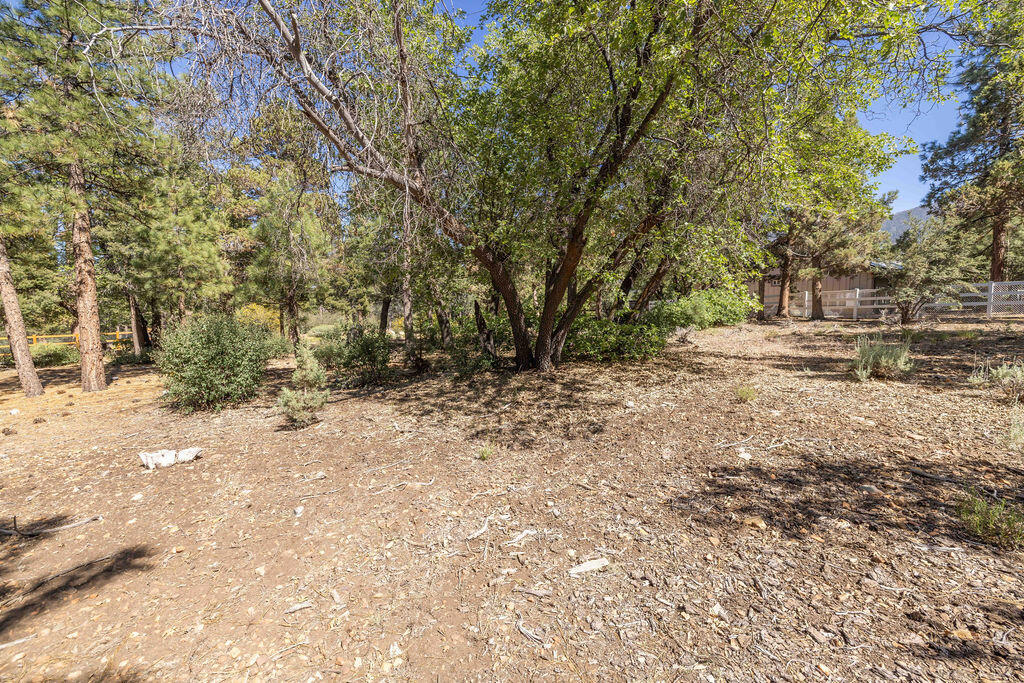 655 Cedar Glen Drive Property Photo 12
