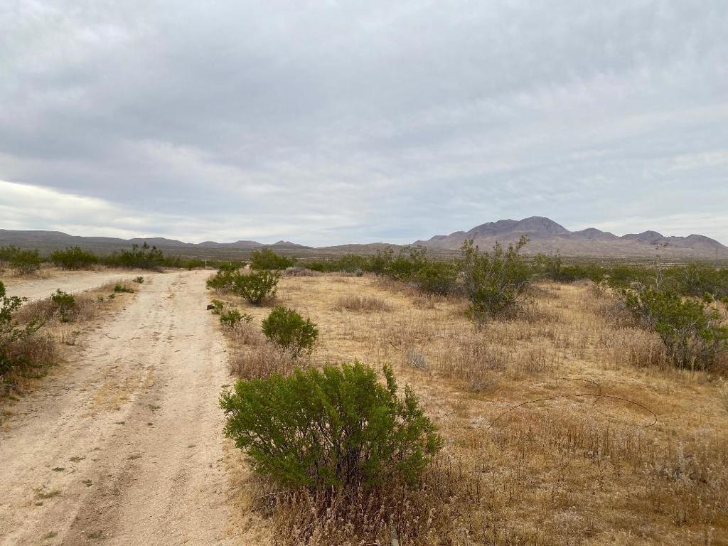 19 Hwy 395 Property Photo 1
