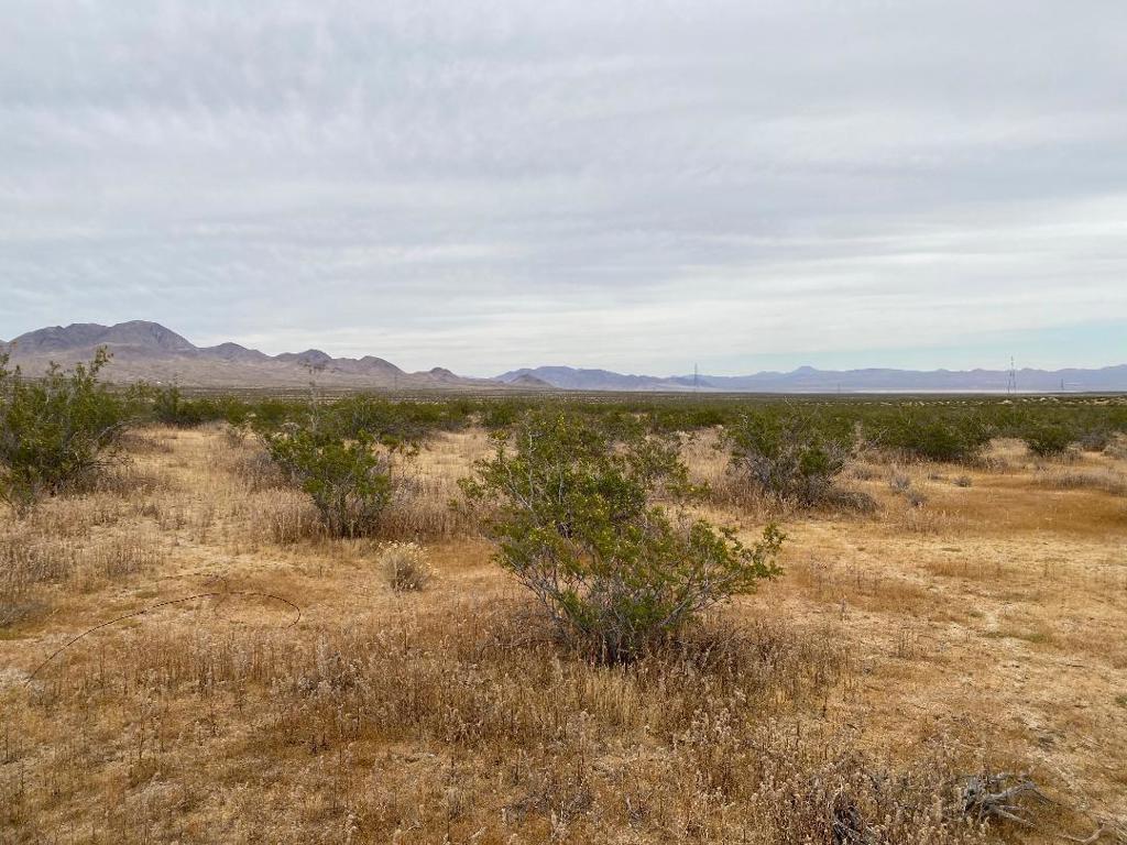 19 Hwy 395 Property Photo 2