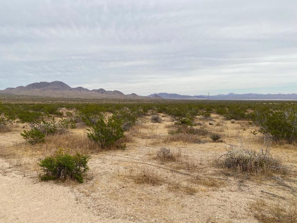 19 Hwy 395 Property Photo 3