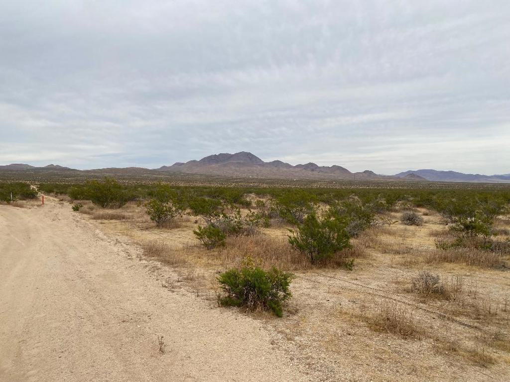 19 Hwy 395 Property Photo 4