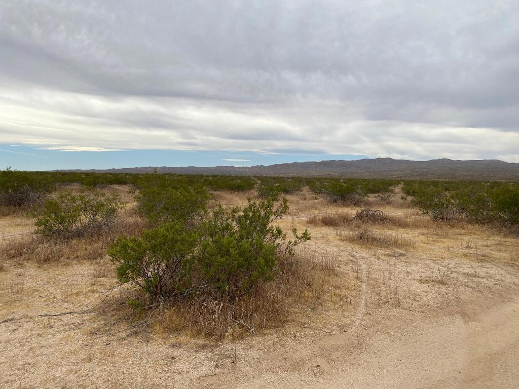 19 Hwy 395 Property Photo 5