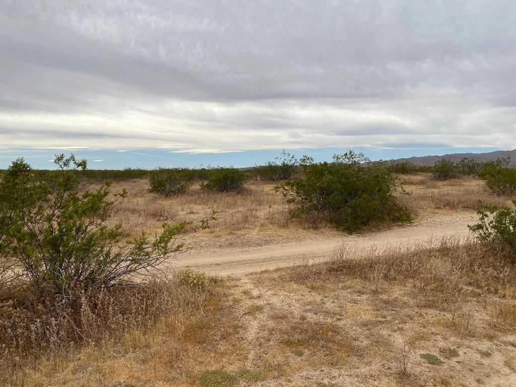 19 Hwy 395 Property Photo 6