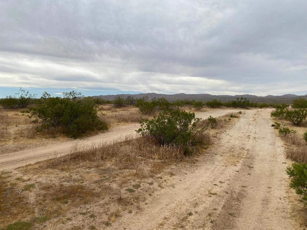 19 Hwy 395 Property Photo 8