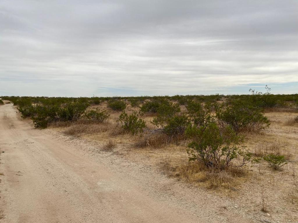 19 Hwy 395 Property Photo 9