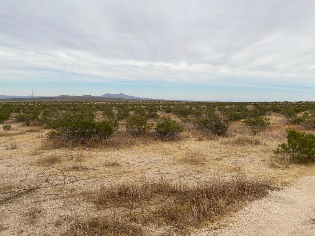 19 Hwy 395 Property Photo 10