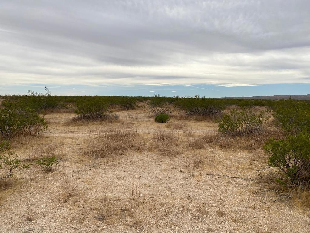 19 Hwy 395 Property Photo 11