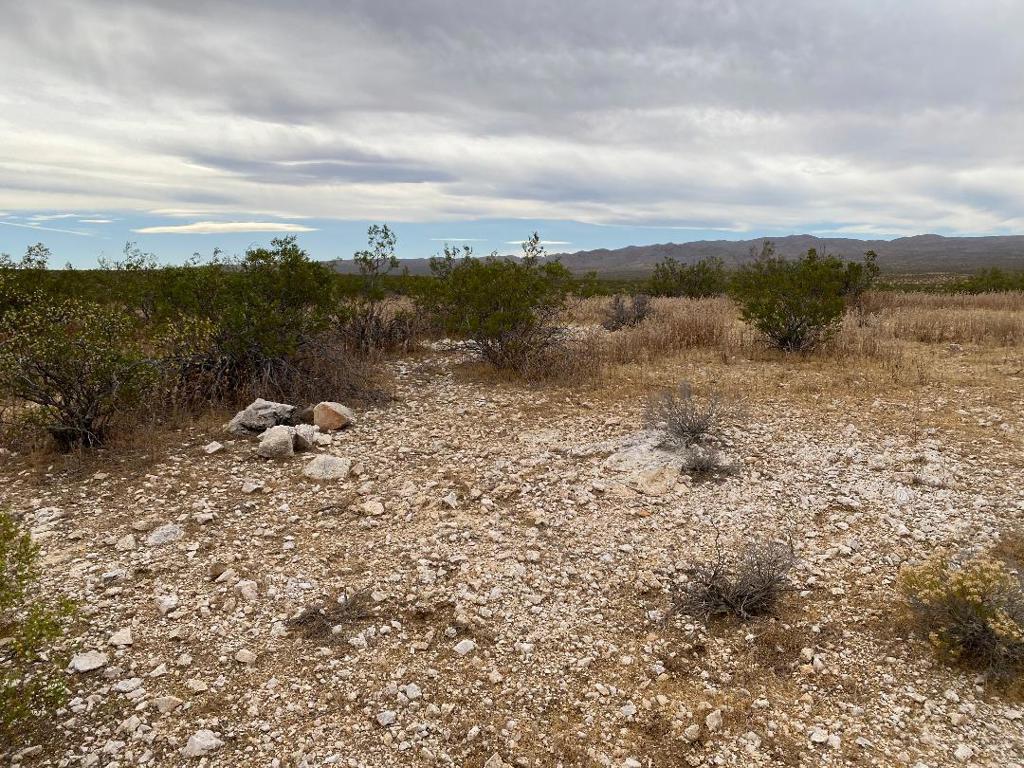19 Hwy 395 Property Photo 14