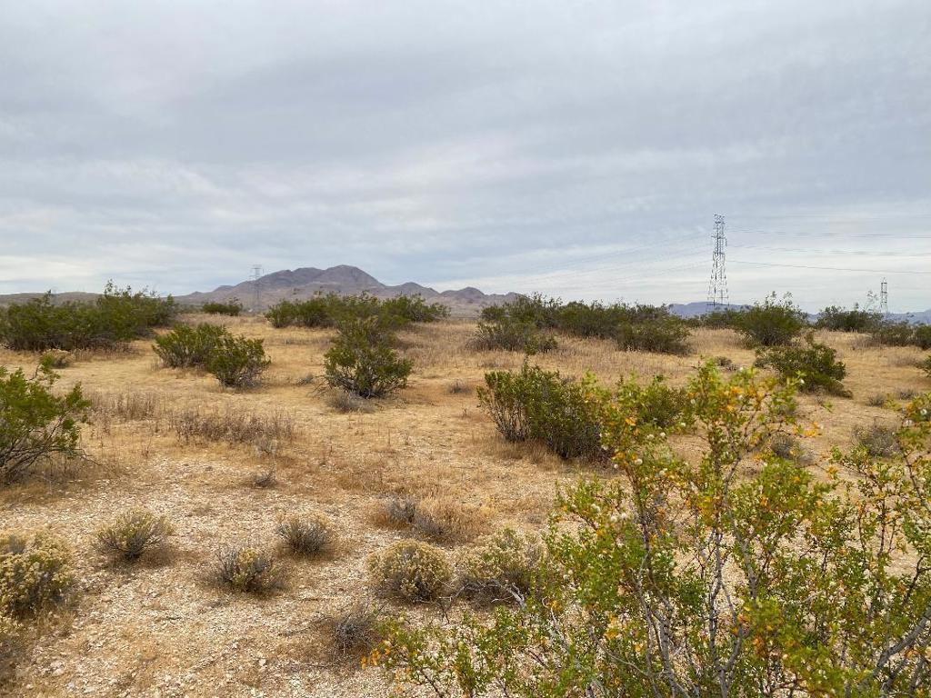 19 Hwy 395 Property Photo 15