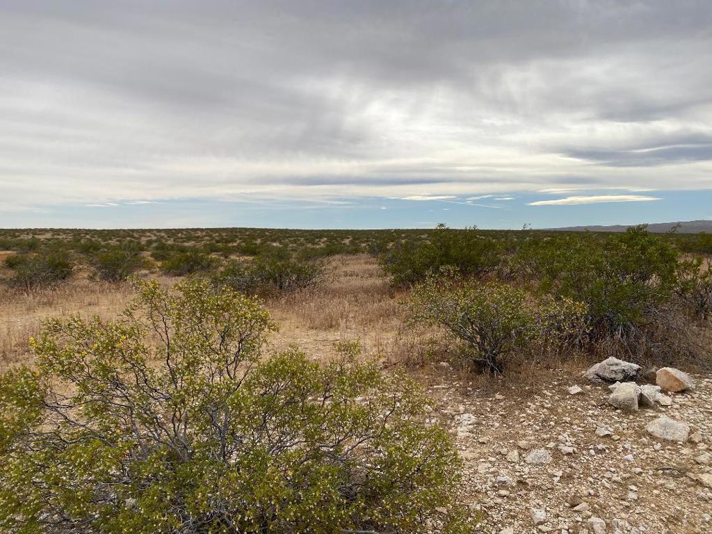 19 Hwy 395 Property Photo 16