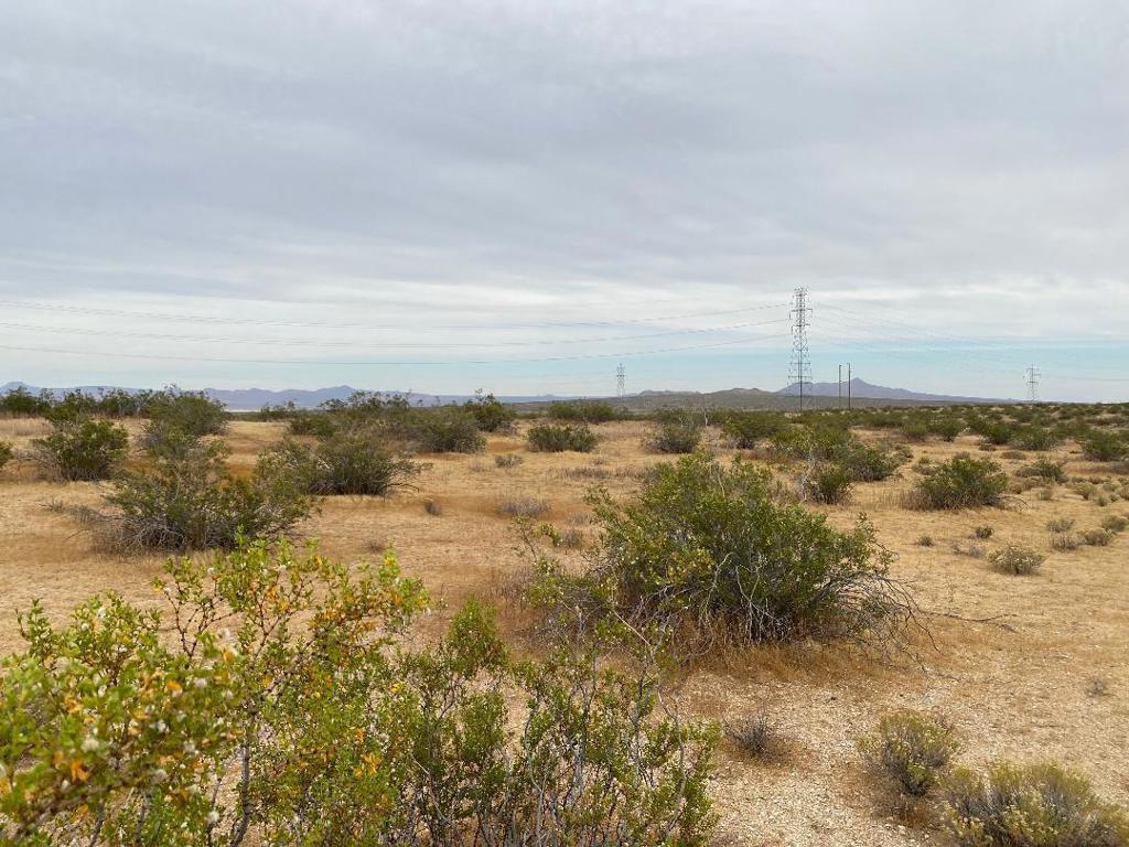 19 Hwy 395 Property Photo 17