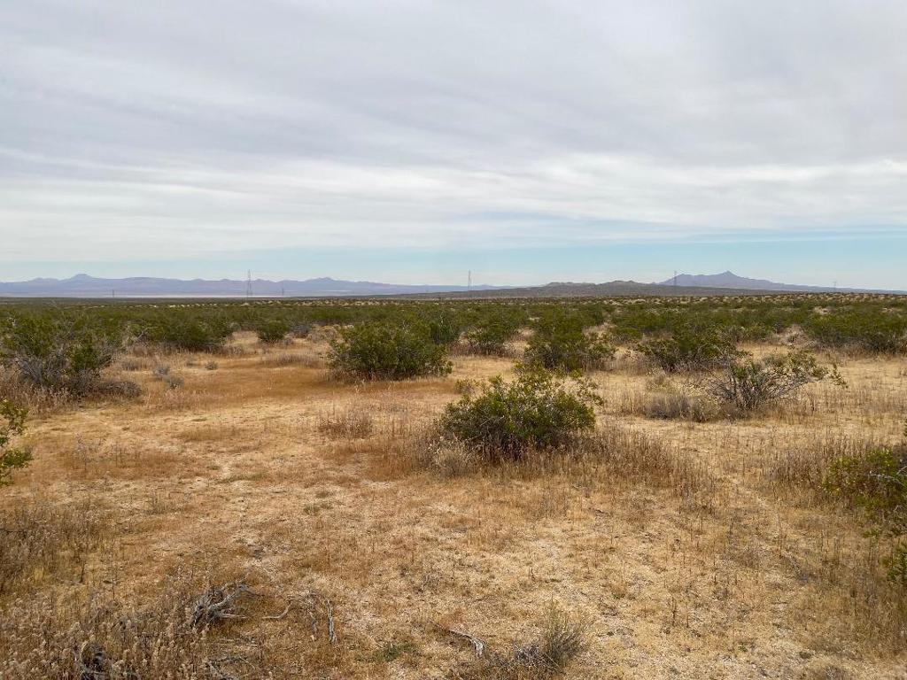 19 Hwy 395 Property Photo 18