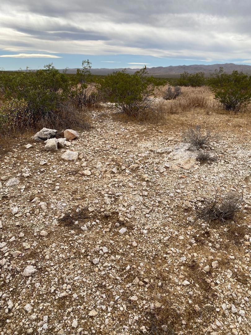 19 Hwy 395 Property Photo 20