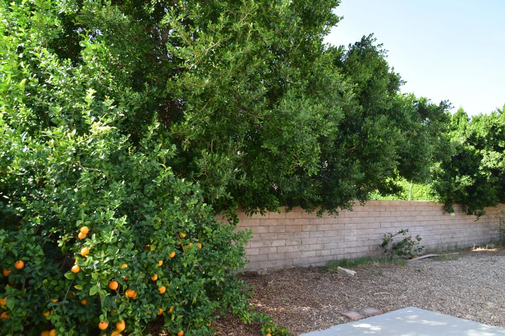 27160 Shadowcrest Lane Property Photo 17