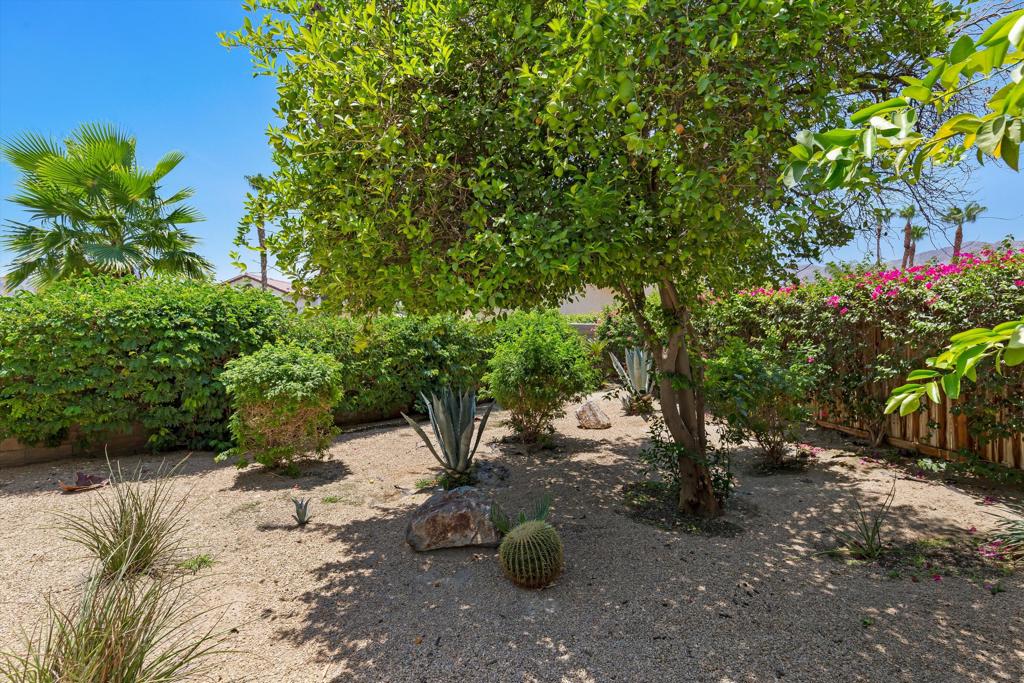 78600 Via Corrido Property Photo 24